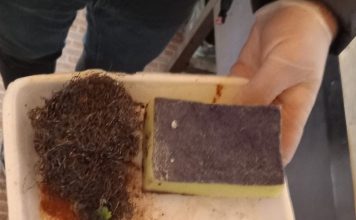 ANSVSA, primele controale înainte de Crăciun: amenzi de 3,6 milioane lei, suspendări și interziceri de activități