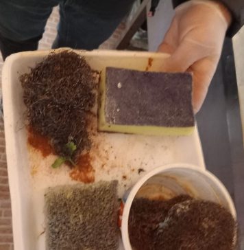 ANSVSA, primele controale înainte de Crăciun: amenzi de 3,6 milioane lei, suspendări și interziceri de activități