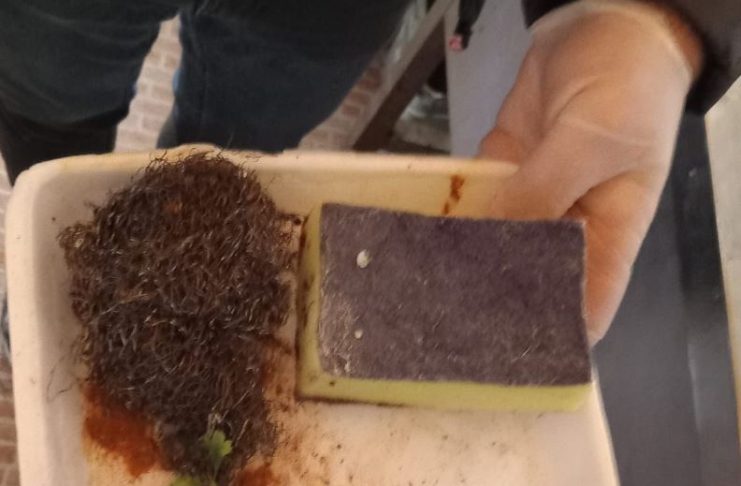 ANSVSA, primele controale înainte de Crăciun: amenzi de 3,6 milioane lei, suspendări și interziceri de activități