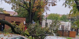 FOTO Copaci rupți și mașini avariate, în centrul Focșaniului