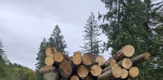 Activitățile desfășurate de Garda Forestieră Focșani în luna august