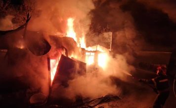 Incendiu la un grajd din Gura Caliței: proprietara a suferit atac de panică, 15 ovine au murit