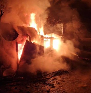 Incendiu la un grajd din Gura Caliței: proprietara a suferit atac de panică, 15 ovine au murit