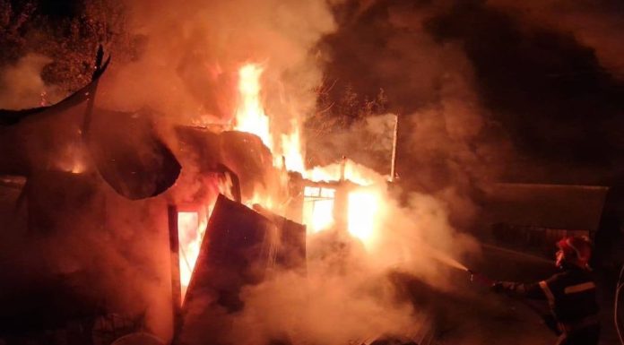 Incendiu la un grajd din Gura Caliței: proprietara a suferit atac de panică, 15 ovine au murit