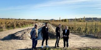 FOTO Lucrări de întreținere și reparații efectuate de ANIF pentru prevenirea riscului de inundații în mai multe localități din județ