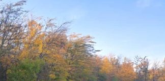 Jandarmii vrânceni, la evenimentele și târgurile din acest weekend