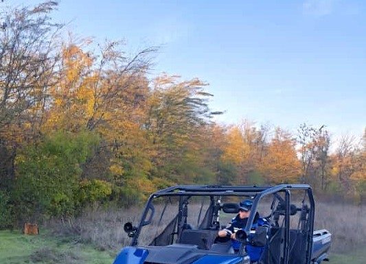 Jandarmii montani din Soveja au intervenit pentru degajarea unui arbore căzut pe DN 2L