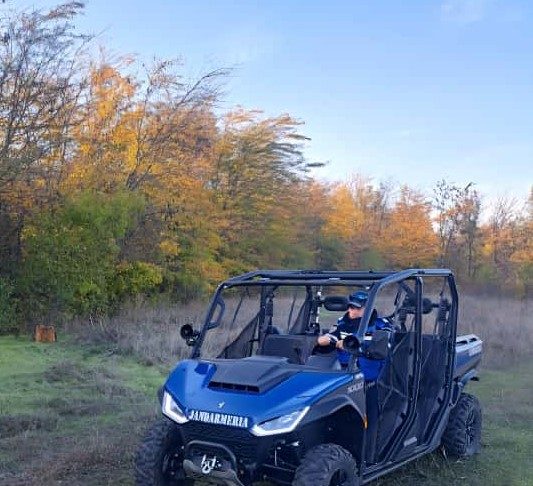 Jandarmii montani din Soveja au intervenit pentru degajarea unui arbore căzut pe DN 2L