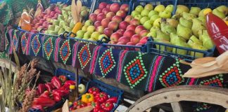 Produse specifice Vrancei în curtea Ministerului Agriculturii, de „Ziua Produselor Agroalimentare Românești”