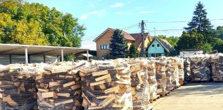 Romsilva oferă populației aproximativ 2 milioane de metri cubi de lemn pentru foc