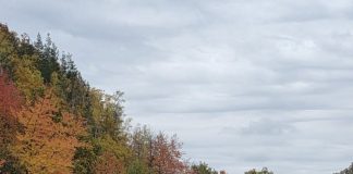 Meteo: vremea în ultima parte a lunii octombrie