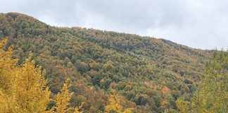 Meteo: vreme oscilantă până la Moș Nicolae