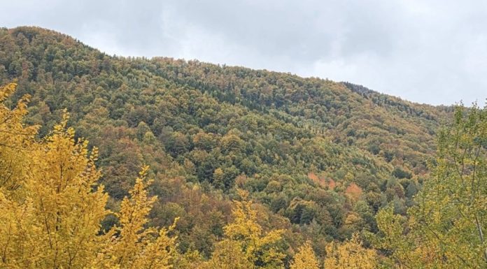 Meteo: vreme oscilantă până la Moș Nicolae