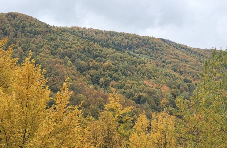 Meteo: vreme mai mult de toamnă decât de iarnă, până la Crăciun