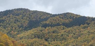 Meteo: Ceața persistă, azi, la câmpie / Mâine, intensificări de vânt la munte