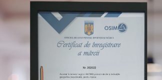 O nouă reușită a firmei de consultanță CÎTU CONSULTING SRL: înregistrarea mărcii „CASA CERNEI by Cristina Grosu” la OSIM