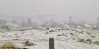 Cod galben de vânt, lapoviță și ninsoare