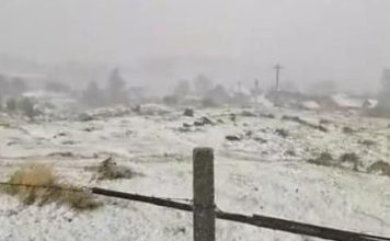 Cod galben de vânt, lapoviță și ninsoare