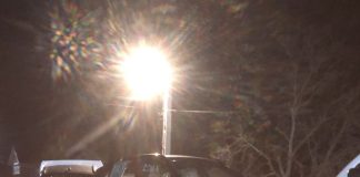 FOTO Două mașini s-au ciocnit pe raza comunei Homocea / O dubă transporta 3 autoturisme