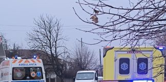 Doi răniți la Homocea, după un accident rutier