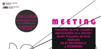 MEETING – expoziție de artă vizuală, mâine, la Centrul Cultural Vrancea