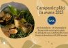 APIA finalizează plățile în avans pentru Campania 2025: peste 957,4 milioane euro ajung în conturile fermierilor
