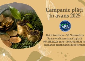 APIA finalizează plățile în avans pentru Campania 2025: peste 957,4 milioane euro ajung în conturile fermierilor