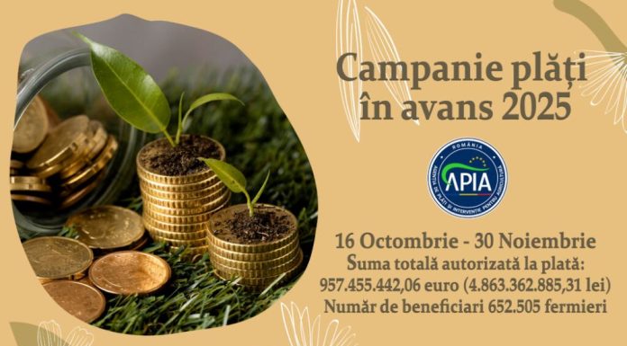 APIA finalizează plățile în avans pentru Campania 2025: peste 957,4 milioane euro ajung în conturile fermierilor