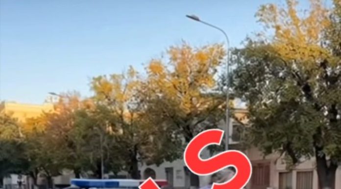 Un nou fals în online: o femeie care ar fi distrus un BMW al Poliţiei / Nu tot ce devine „viral” este și real!