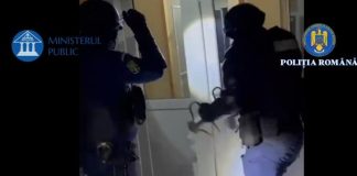 Operațiunea ”Jupiter”, ziua 3: 267 percheziții, prejudicii de peste 61 milioane lei și peste 476.000 euro