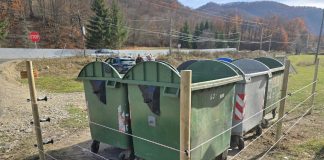 FOTO Lepșa: sisteme de protecție a tomberoanelor și garduri electrice pentru a ține urșii la distanță
