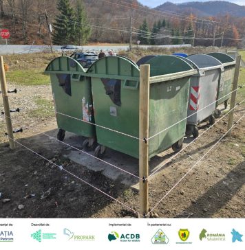 FOTO Lepșa: sisteme de protecție a tomberoanelor și garduri electrice pentru a ține urșii la distanță