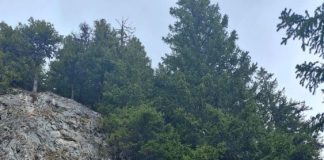 FOTO Salvamontiștii vrânceni, pregătire complexă în Munții Bucegi