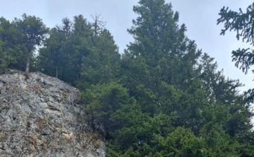 FOTO Salvamontiștii vrânceni, pregătire complexă în Munții Bucegi