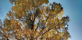 Vreme destul de bună și mâine / De marți se răcește semnificativ, vor fi ploi și ninsori