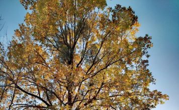 Vreme destul de bună și mâine / De marți se răcește semnificativ, vor fi ploi și ninsori