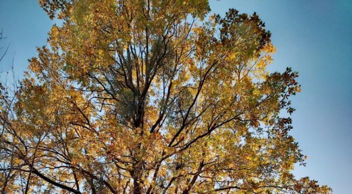 Meteo: vremea în ultima parte a lunii octombrie