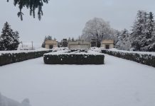 FOTO A nins și în Vrancea / Vremea se încălzește din nou