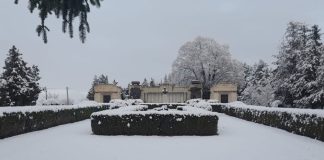 FOTO A nins și în Vrancea / Vremea se încălzește din nou