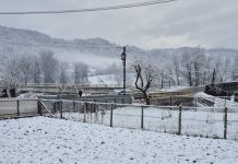 Meteo: alerte de vânt, lapoviță și ninsoare, până mâine seară