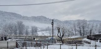 Meteo: alerte de vânt, lapoviță și ninsoare, până mâine seară
