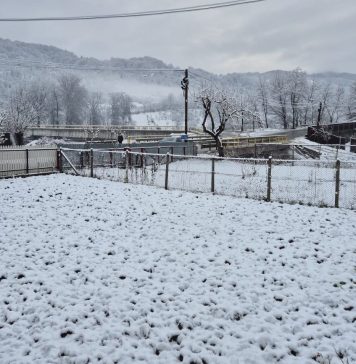 Meteo: alerte de vânt, lapoviță și ninsoare, până mâine seară