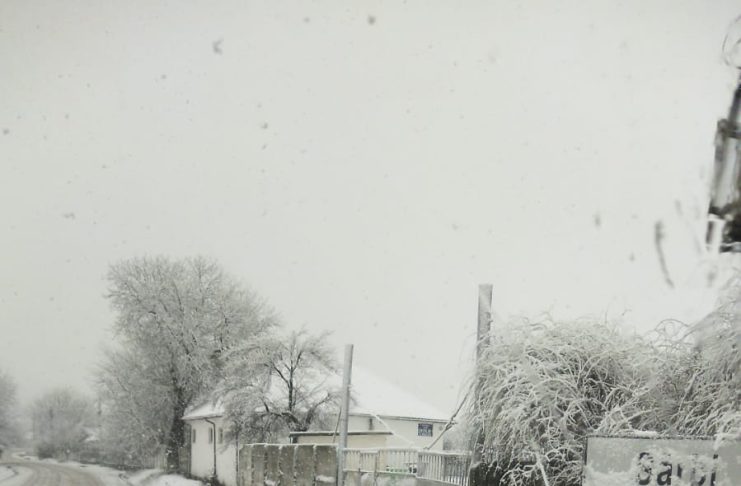 Intervenții pe drumurile județene în zonele unde a nins