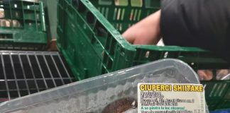 Protecția Consumatorilor a controlat peste 6700 firme în decembrie 2025 și a dat amenzi de peste 32 milioane lei