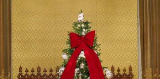 Nicușor Dan: Vă doresc tuturor un Crăciun binecuvântat!