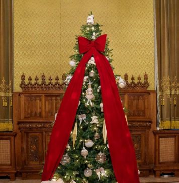 Nicușor Dan: Vă doresc tuturor un Crăciun binecuvântat!