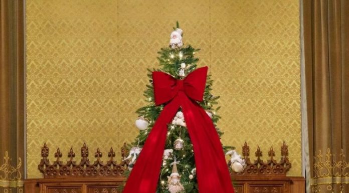 Nicușor Dan: Vă doresc tuturor un Crăciun binecuvântat!