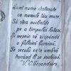 bust cuza marasesti 2