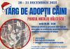 De Crăciun, adoptă un câine fără stăpân!
