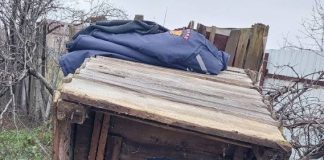 FOTO-VIDEO Trei cățeluși căzuți într-o fosă, salvați de pompierii voluntari din Odobești